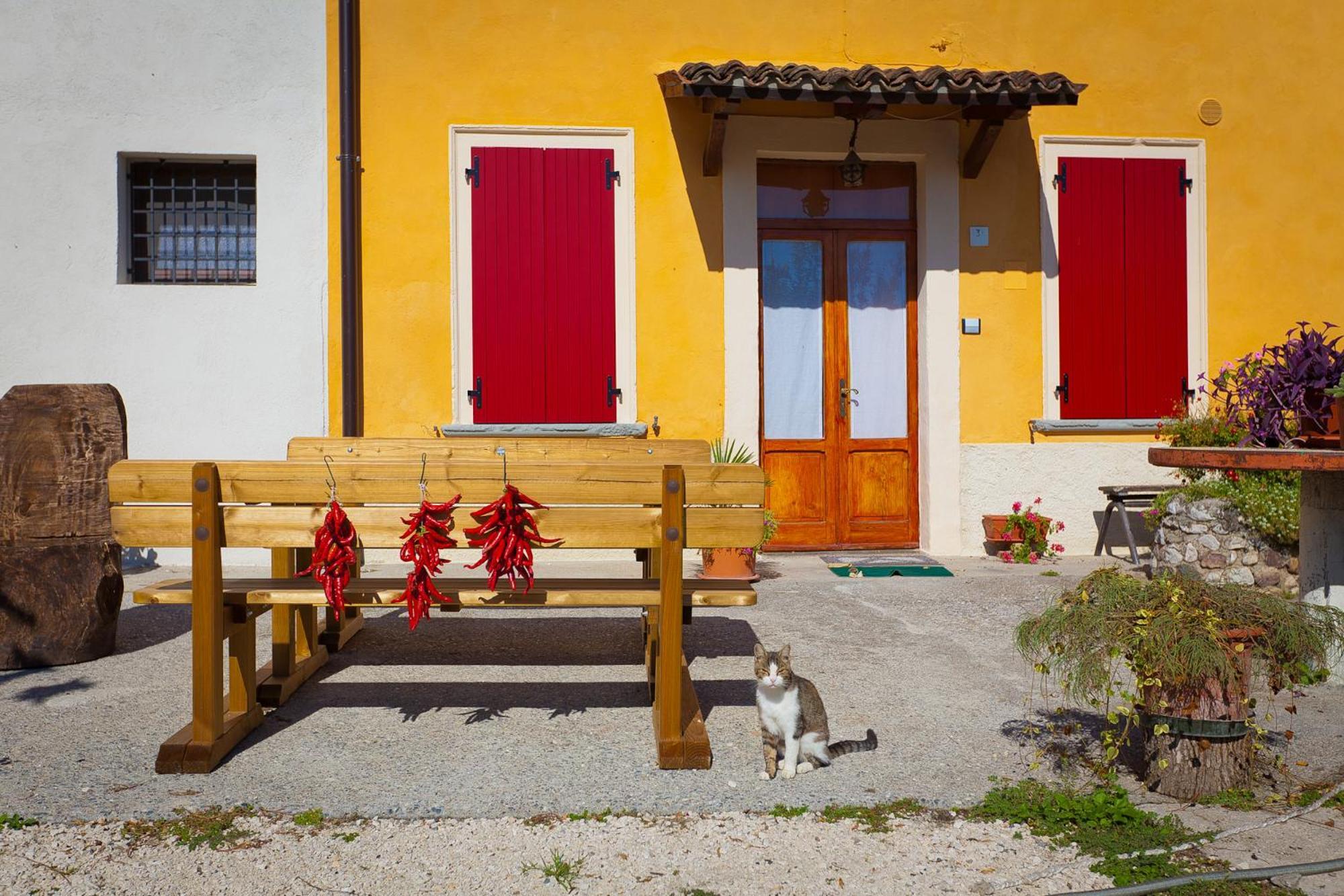 Agriturismo Con Cucina Tipica Nuova Scardua Cavriana Exteriör bild