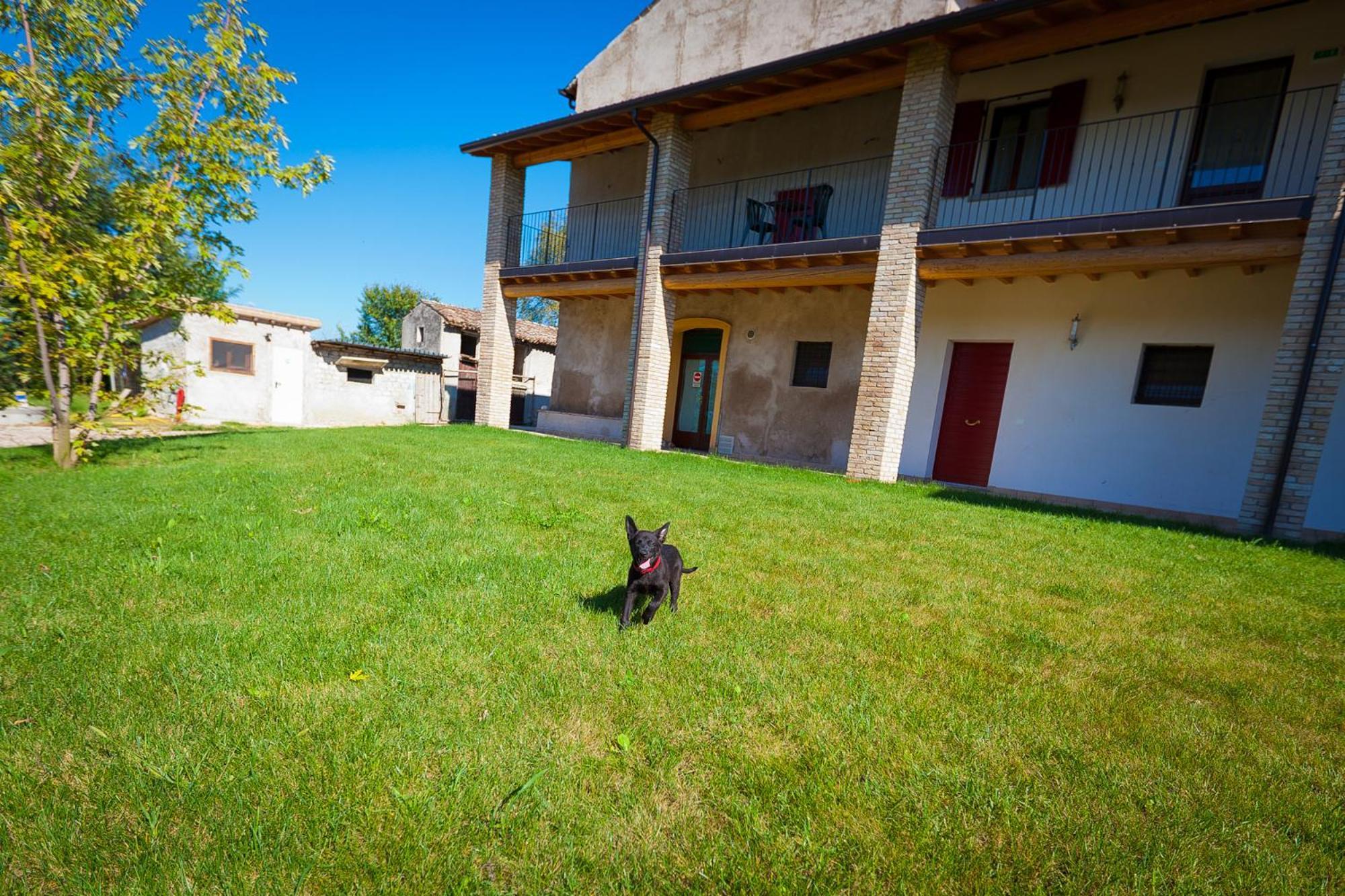 Agriturismo Con Cucina Tipica Nuova Scardua Cavriana Exteriör bild