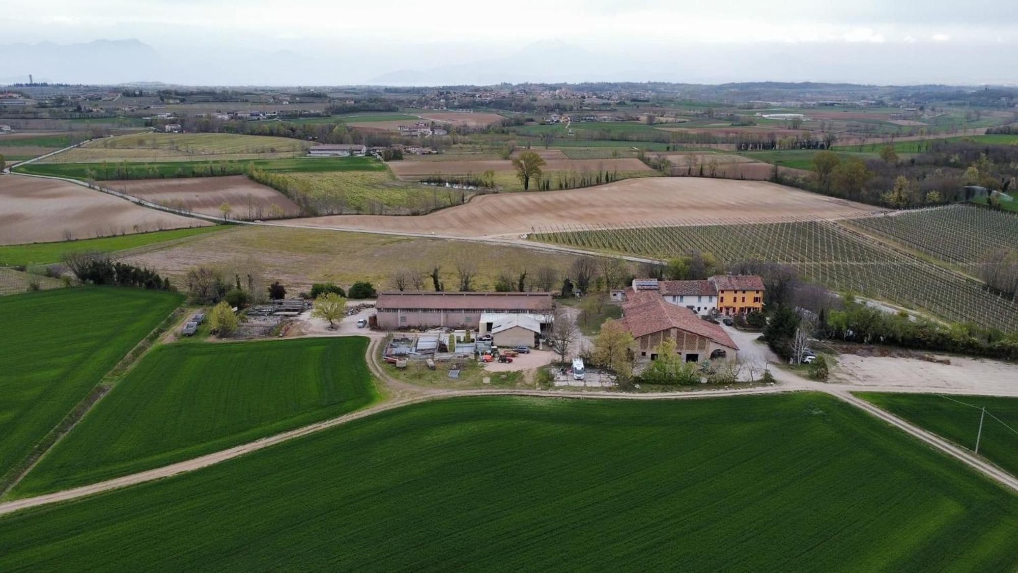 Agriturismo Con Cucina Tipica Nuova Scardua Cavriana Exteriör bild